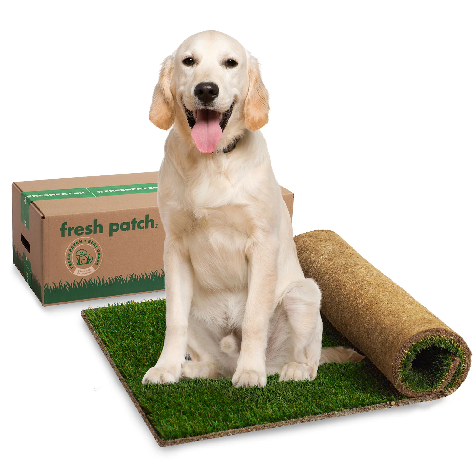 Grass Sizes